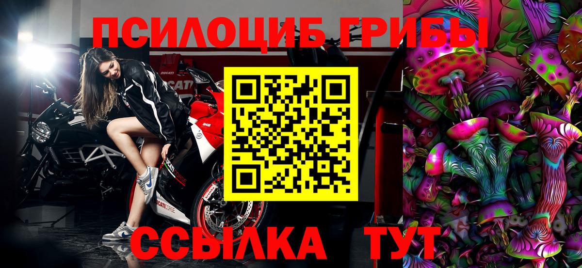 Павлово  Галлюциногенные грибы Magic Shrooms  Вход с VPN 