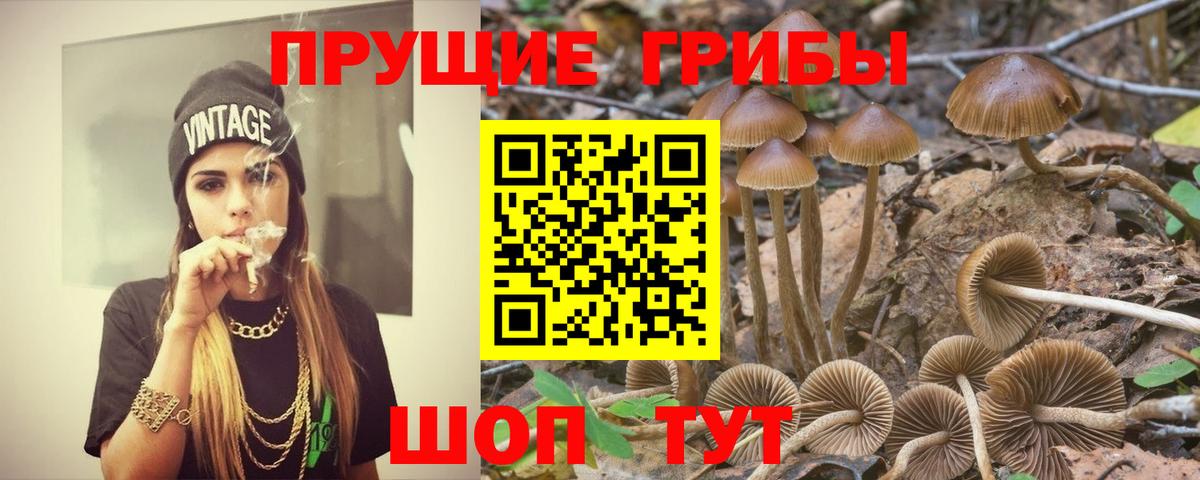 Псилоцибиновые грибы Magic Shrooms Павлово